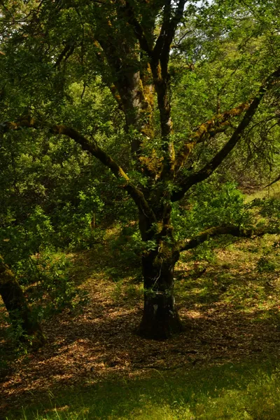 DSC_6814 (Large).JPG